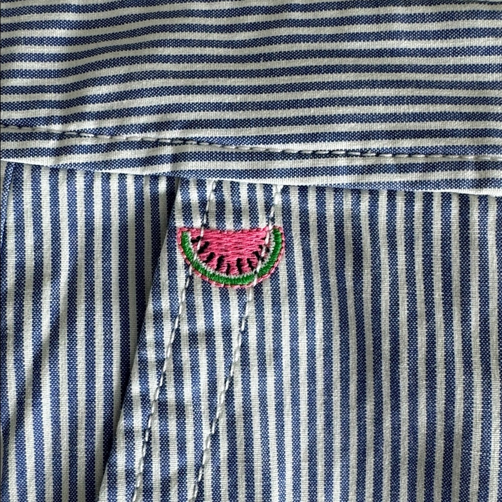 Talbots Blue & White Striped Shorts with Pink Embroidery - Picture 2 of 4